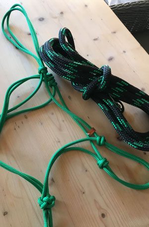 Halter & Lead Rope Set
