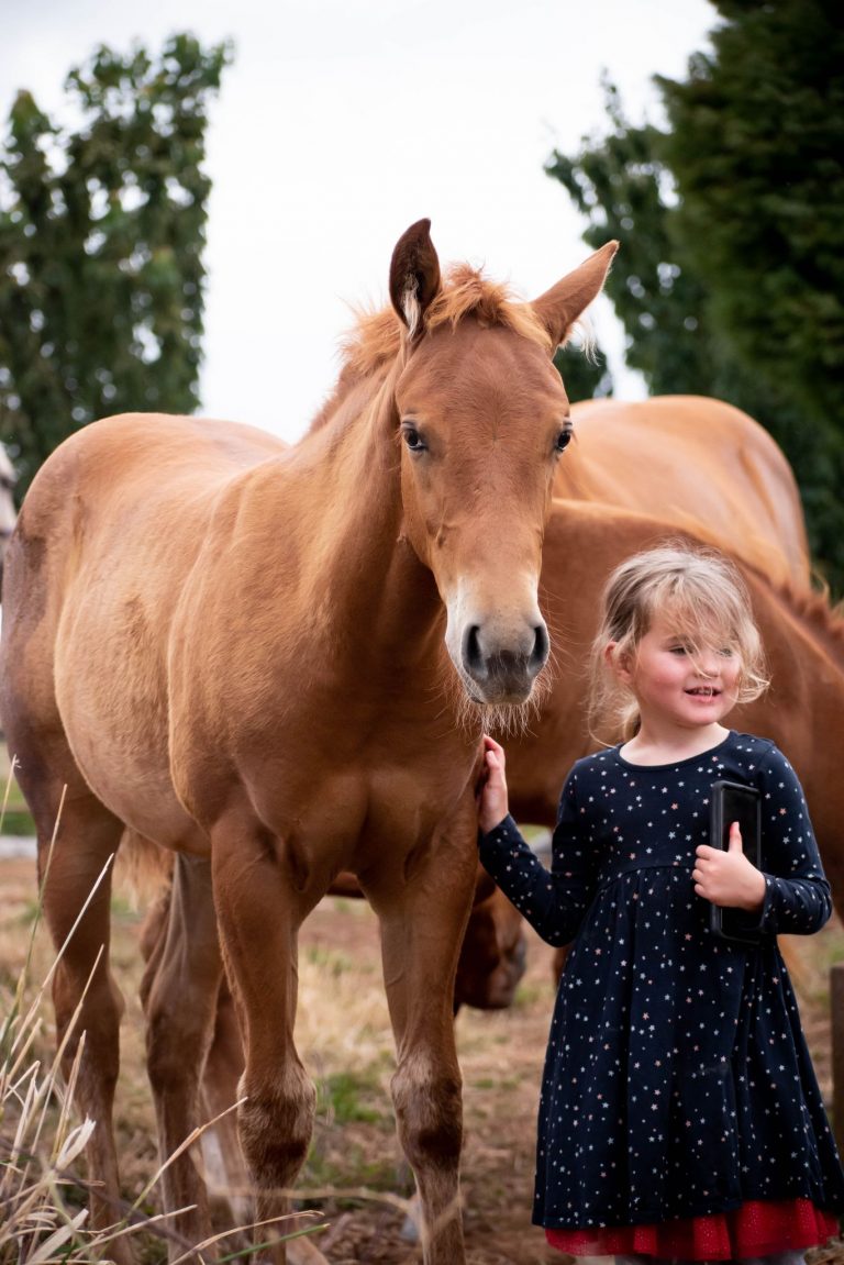 Filly by IMA GUNNER for sale