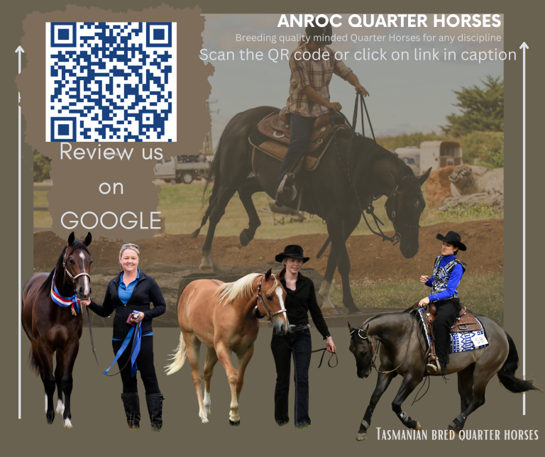 Review us on GOOGLE