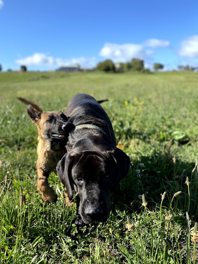 Sharing a journey