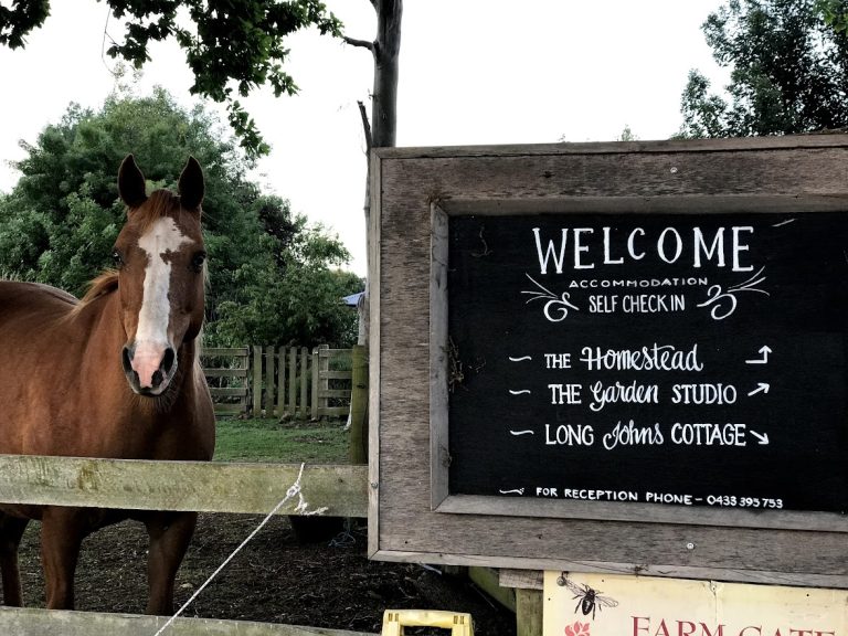 Retreat to Rustic Tranquility: Farm Stay Cottages at Anroc Farms